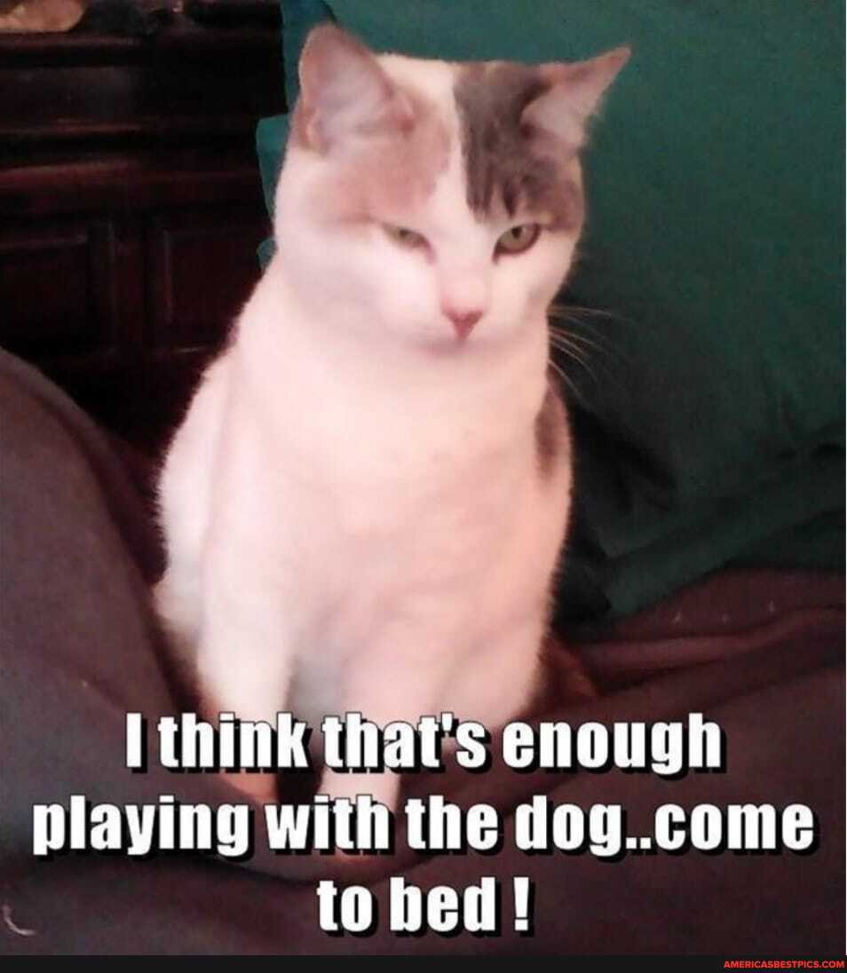 think that's enough playing with the dog..come to bed
