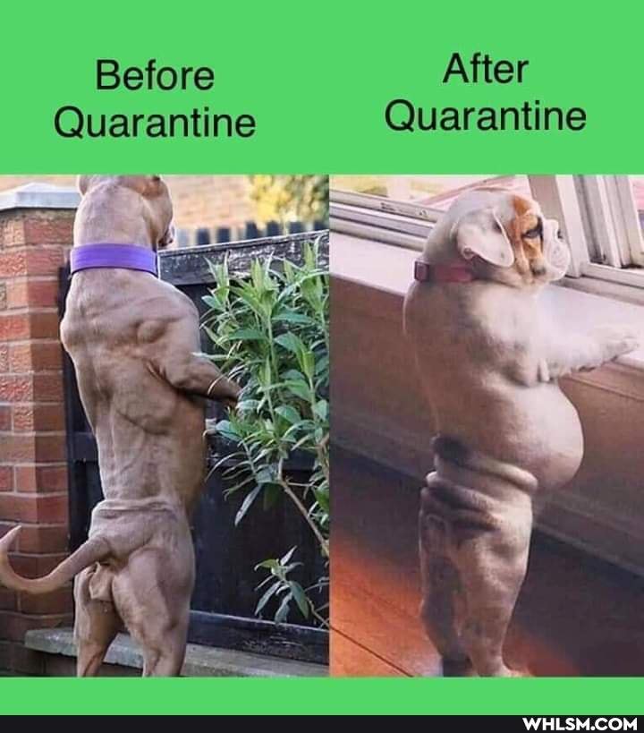 Before After
Quarantine Quarantine
Pa