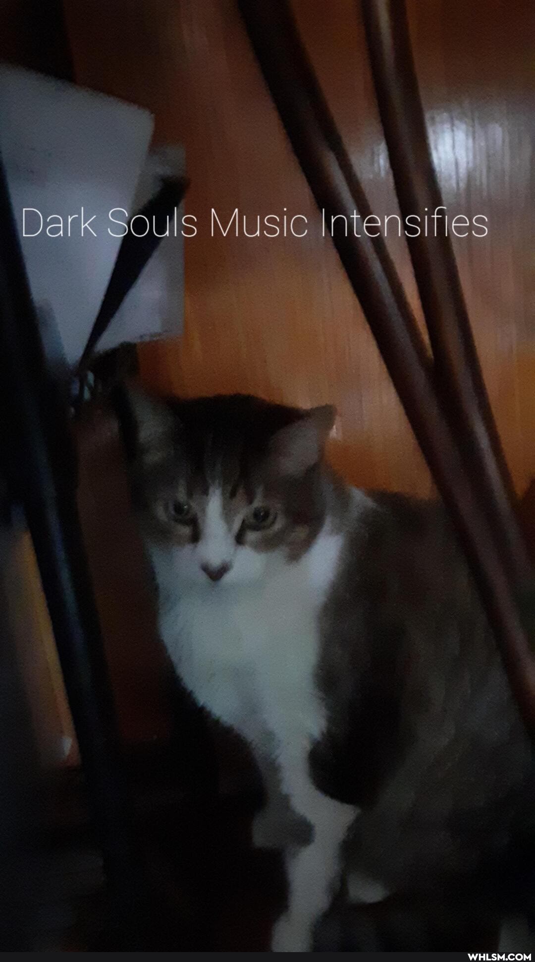 Dark Souls Music Intensifies