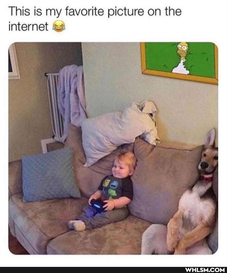 This is my favorite picture on the internet