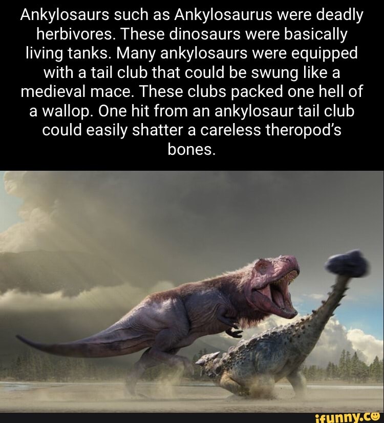 Ankylosaurus Memes Best Collection Of Funny Ankylosaurus Pictures On Ifunny