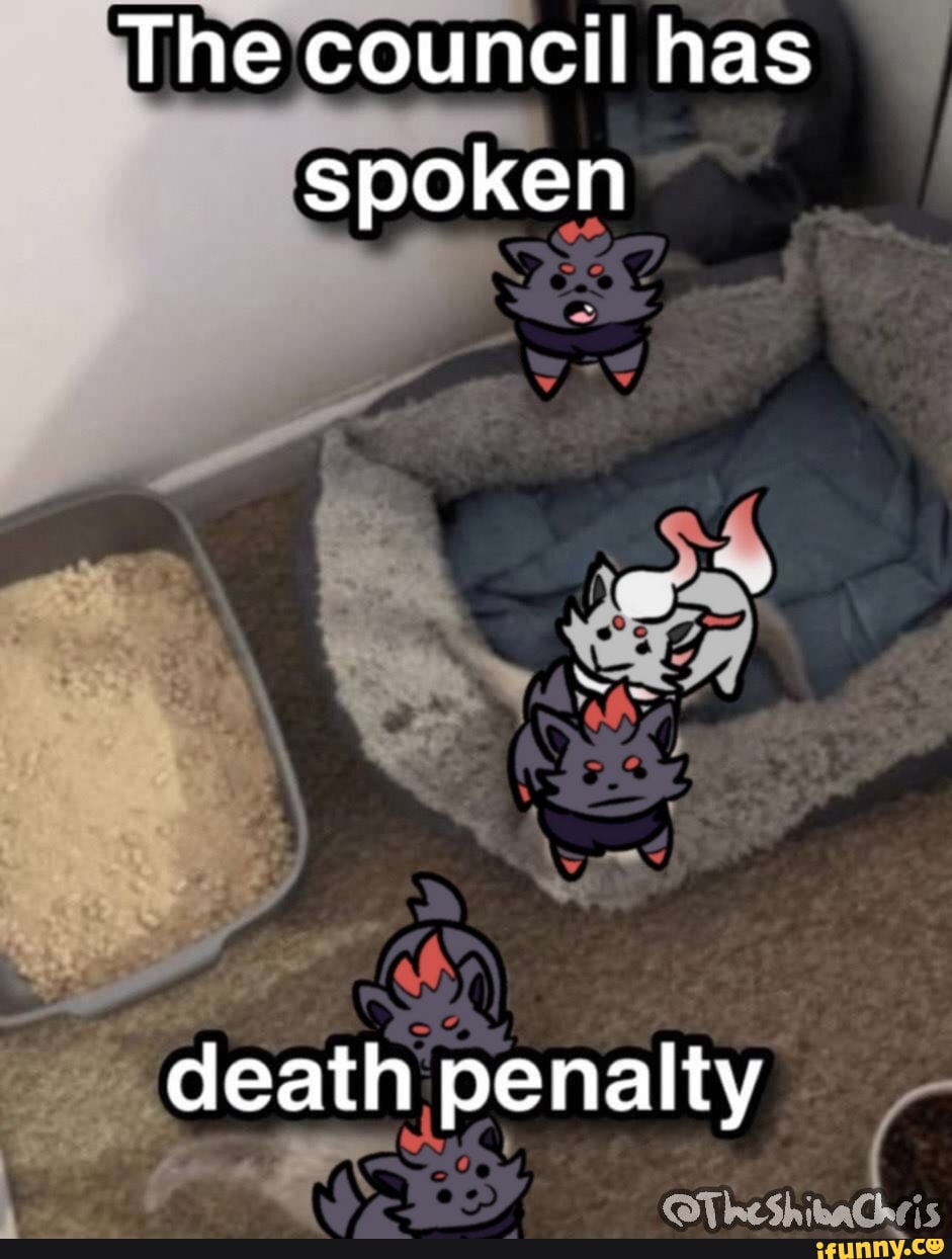 When My Client Gets The Death Sentence After I Use Chatgpt | TikTok, image size:941x1244
