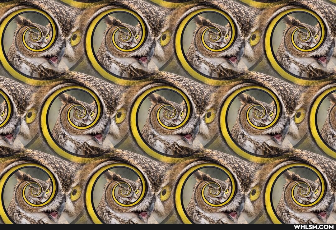 art, patterns, owl, kaleidoscope