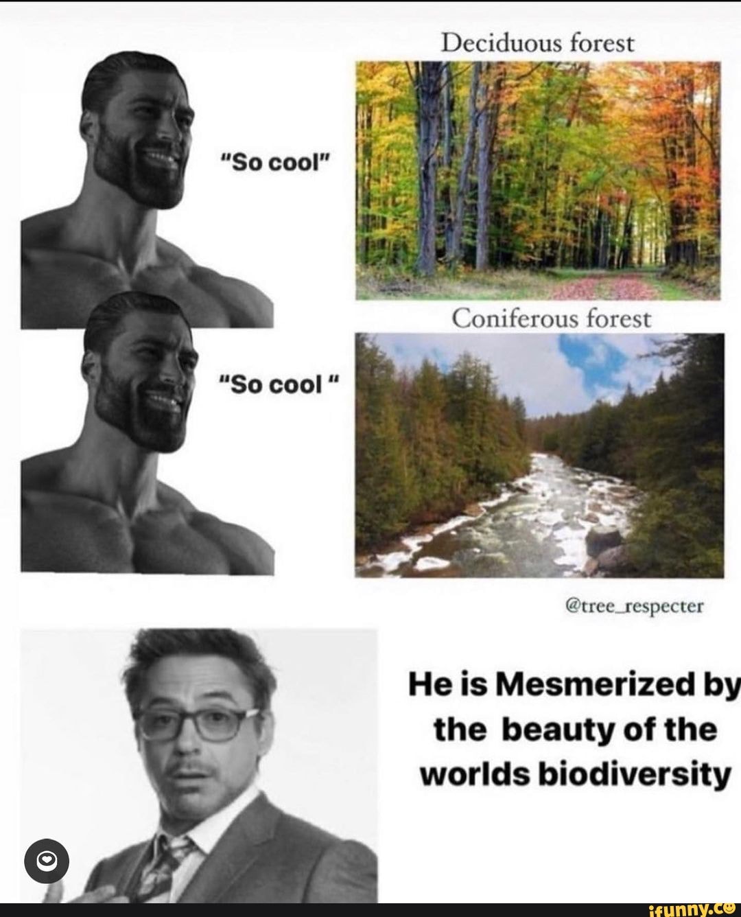 Nature memes