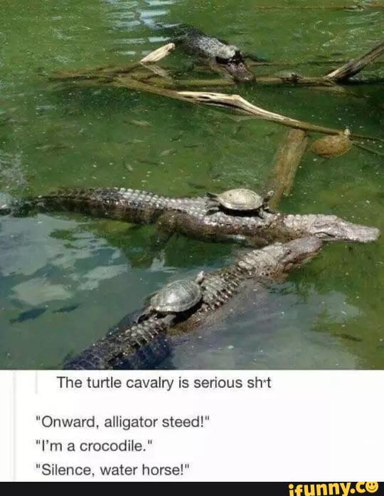 The turtle cavalry is serious sm
nward, alligator steed!"
"I‘m a crocodile."
"Silence. water horse!“