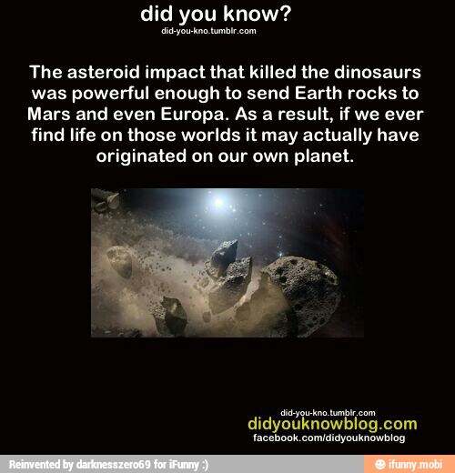 The Asteroid Impact That Killed The Dinosaurs Was Powerful Enough To ...