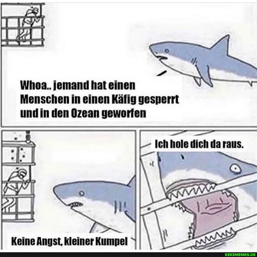 Whoa.. jemand hat einen
Menschen in einen Käfig gesperrt und in den Ozean geworfen
Ich ho
Keine Angst, kleiner Kumpel