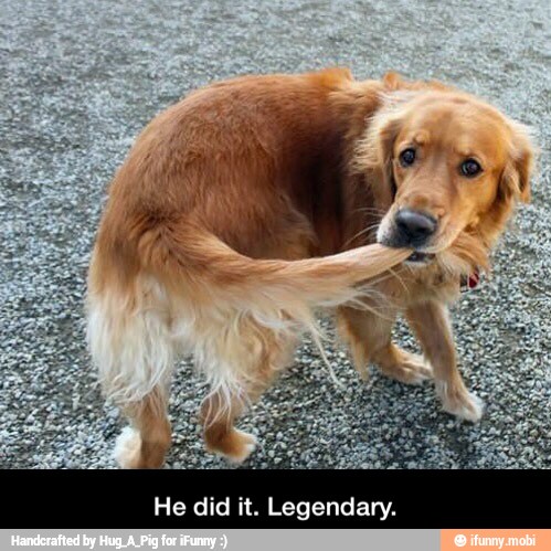 He did it. Legendary. - He did it. Legendary.