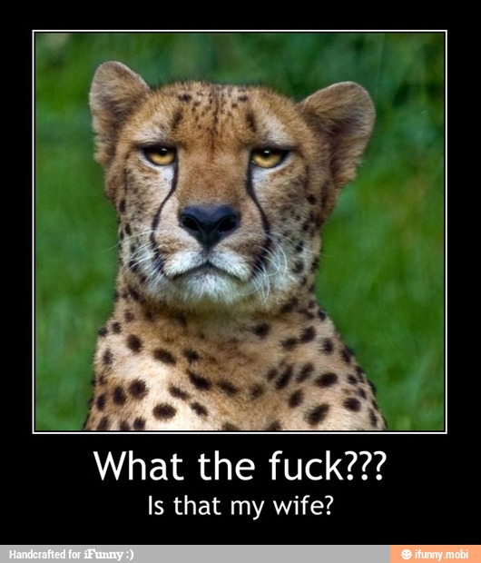 What the fuck???
Is that my wife? - What the fuck???
Is that my wife?