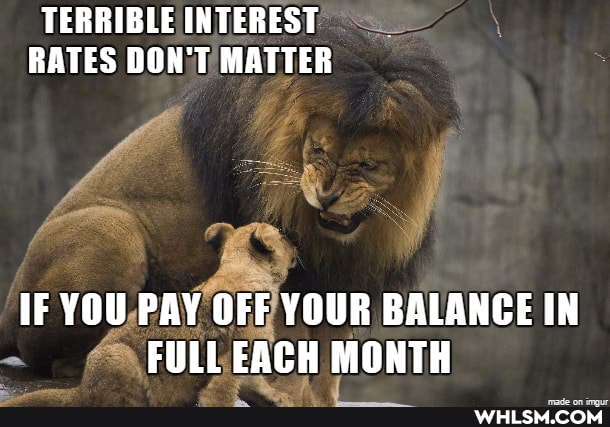 TERRIBLE INTEREST RATES DON'T MATTER
IF YOU PAY OFF YOUR BALANCE IN FULL EACH MONTH