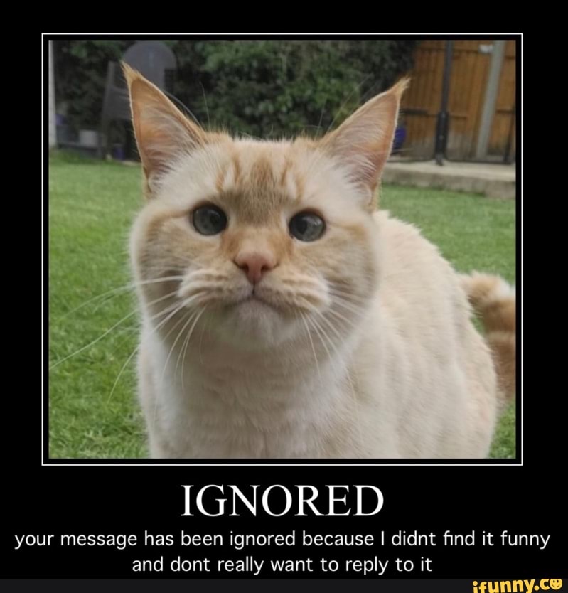 IGNORED your message has been ignored because I didnt find it funny and