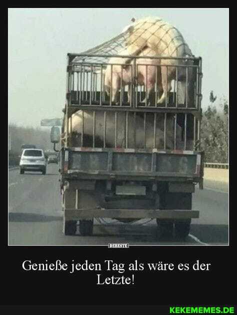 Genieße jeden Tag als wäre es der
Letzte!