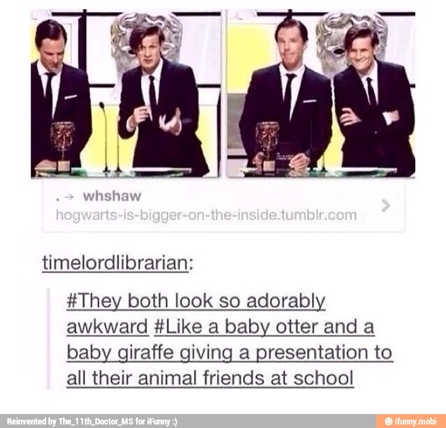#They both look so adorably
awkward #Like a baby otter and a
baby giraffe giving a presentation to
all their animal friends at school