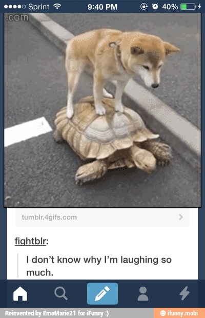 I don't know why I'm laughing so
much.