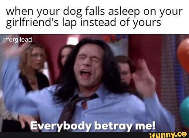 when your dog falls asleep on your
girlfriend's lap instead of yours
tforgilead =
Everybody betray me!