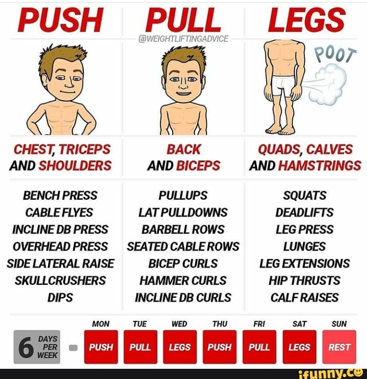PUSH PULL LEGS CHEST, TRICEPS BACK QUADS, CALVES AND SHOULDERS AND