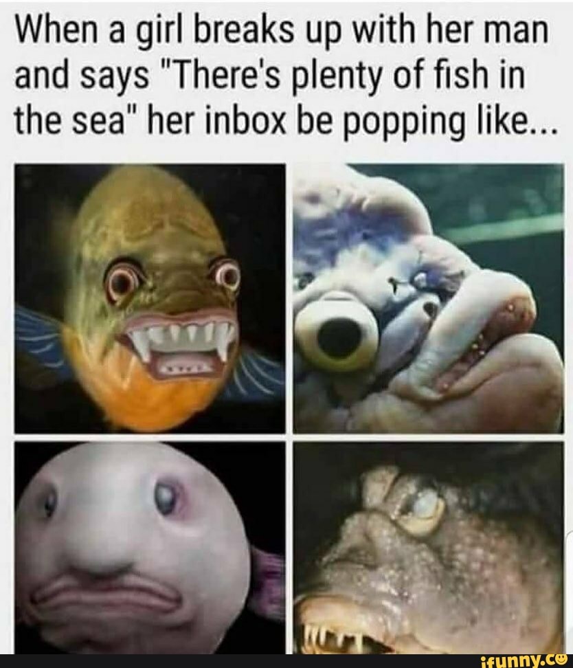 When a girl breaks up with her man and says "There's plenty of fish in the sea" her inbox be popping like...