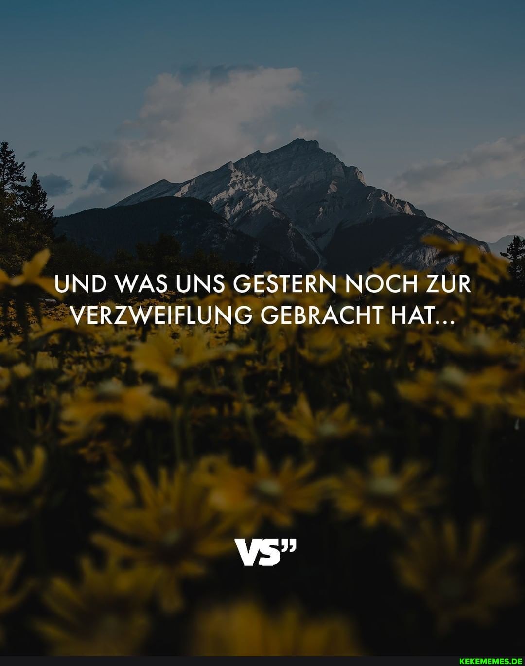 UND WAS UNS GESTERN NOCH ZUR VERZWEIFLUNG GEBRACHT HAT...
