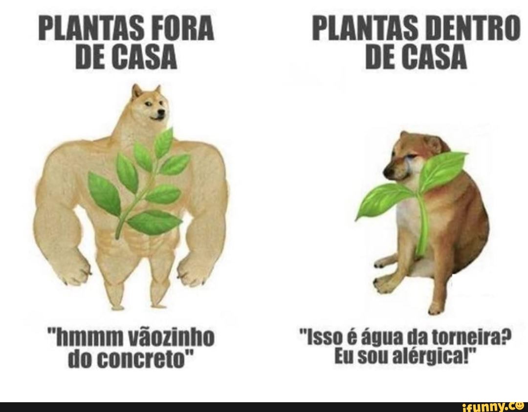 "hmmm vãozinho "Isso é água da torneira?
do concreto" Eu sou alérgica!"