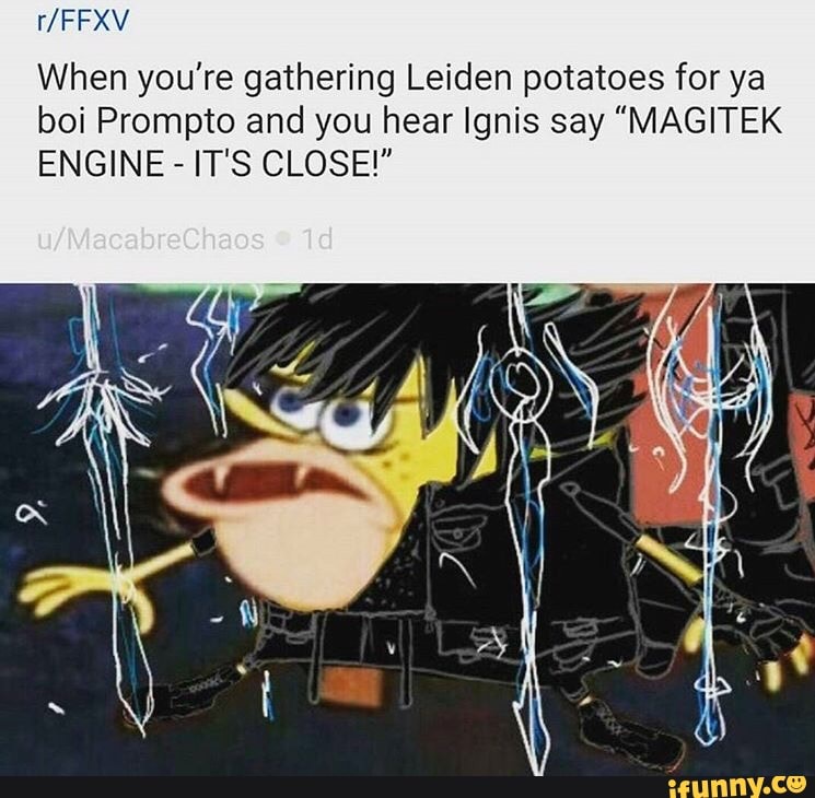 IPA
When you're gathering Leiden potatoes for ya
boi Prompto and you hear Ignis say "MAGITEK
ENGINE