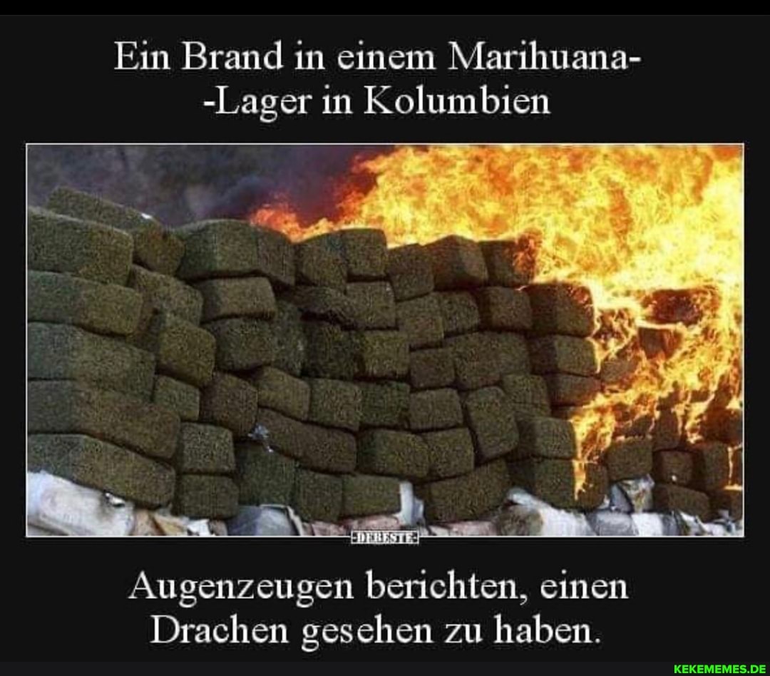 Ein Brand in einem Marihuana-
-Lager in Kolumbien
Augenzeugen berichten, einen
Drachen gesehen zu haben.