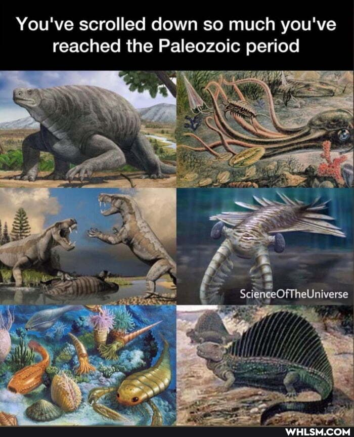 You've scrolled down so much you've reached the Paleozoic period