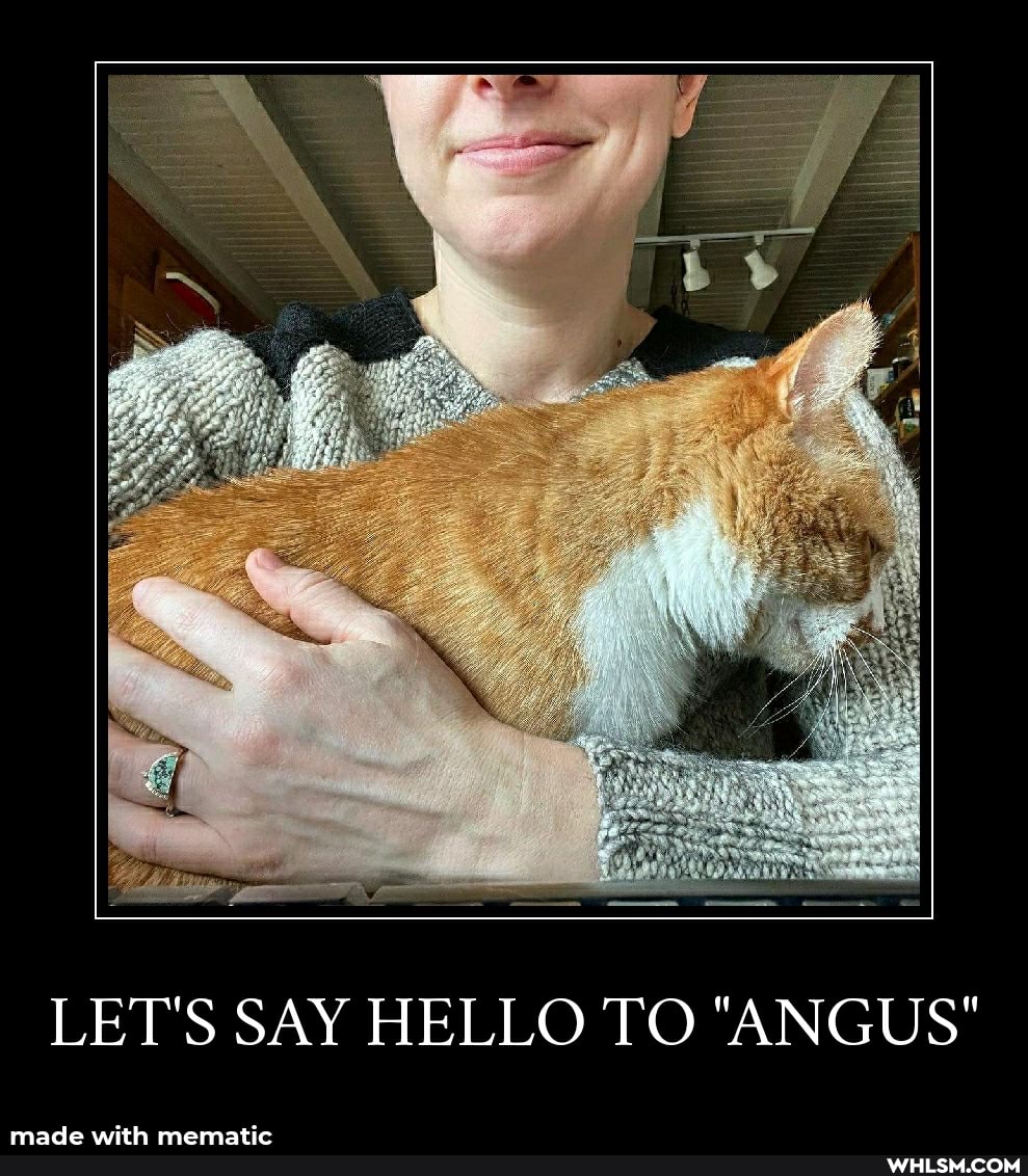 LET'S SAY HELLO TO "ANGUS"