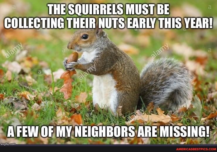 THE SQUIRRELS MUST BE COLLECTING THEIR NUTS EARLY THIS YEAR!
AFEW OF MY NEIGHBORS ARE MISSING!