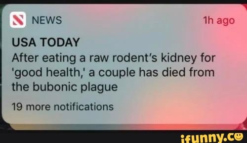 USA TODAY
After eating a raw rodent's kidney for
'good health, a couple has died from
the bubonic plague
19 more notifications