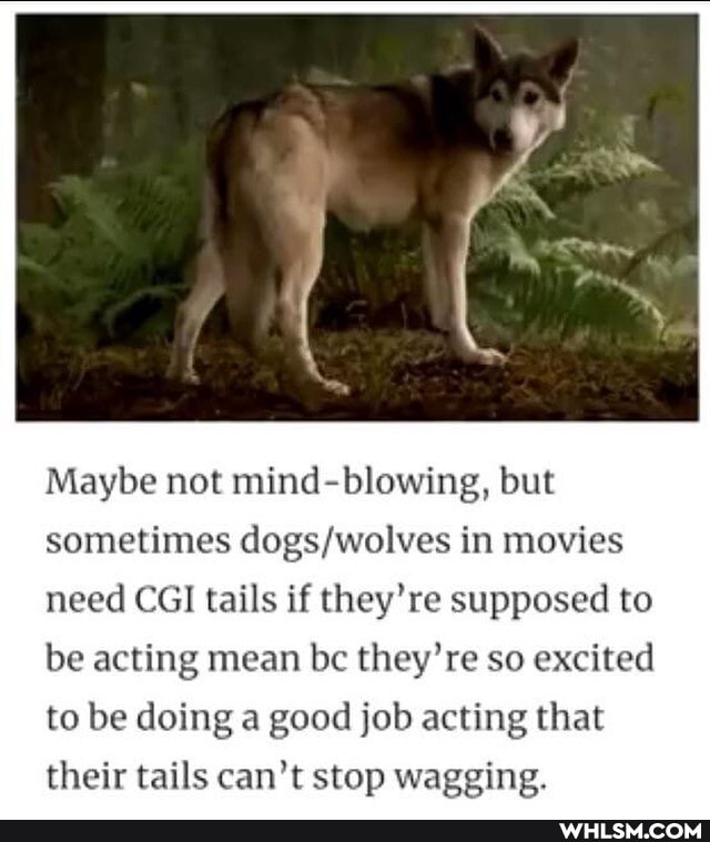 Maybe not mind-blowing, but sometimes in movies need CGI tails if they're supposed to be acting mean be they' re so excited
to be doing a good job acting that
their tails can't stop wa