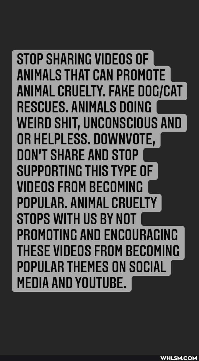 STOP SHARING VIDEOS OF ANIMALS THAT CAN PROMOTE ANIMAL CRUELTY. FAKE RESCUES. ANIMALS DOING WEIRD SHIT, UNCONSCIOUS AND OR HELPLESS. DOWNVOTE,
DON'T SHARE AND STOP SUPPORTING THIS TYPE OF VIDEOS FROM BECOMING POPULAR. ANIMAL CRUELTY STOPS WITH US BY NOT PROMOTING AND ENCOURACING THESE VIDEOS FROM BECOMING POPULAR THEMES ON SOCIAL MEDIA AND YOUTUBE.