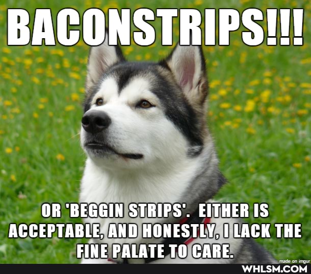 BACONSTRIPS!!!
OR 'BEGGIN STRIPS'. EITHER IS ACCEPTABLE, AND HONESTLY, LACK THE
EIWE DALATE TN PABE