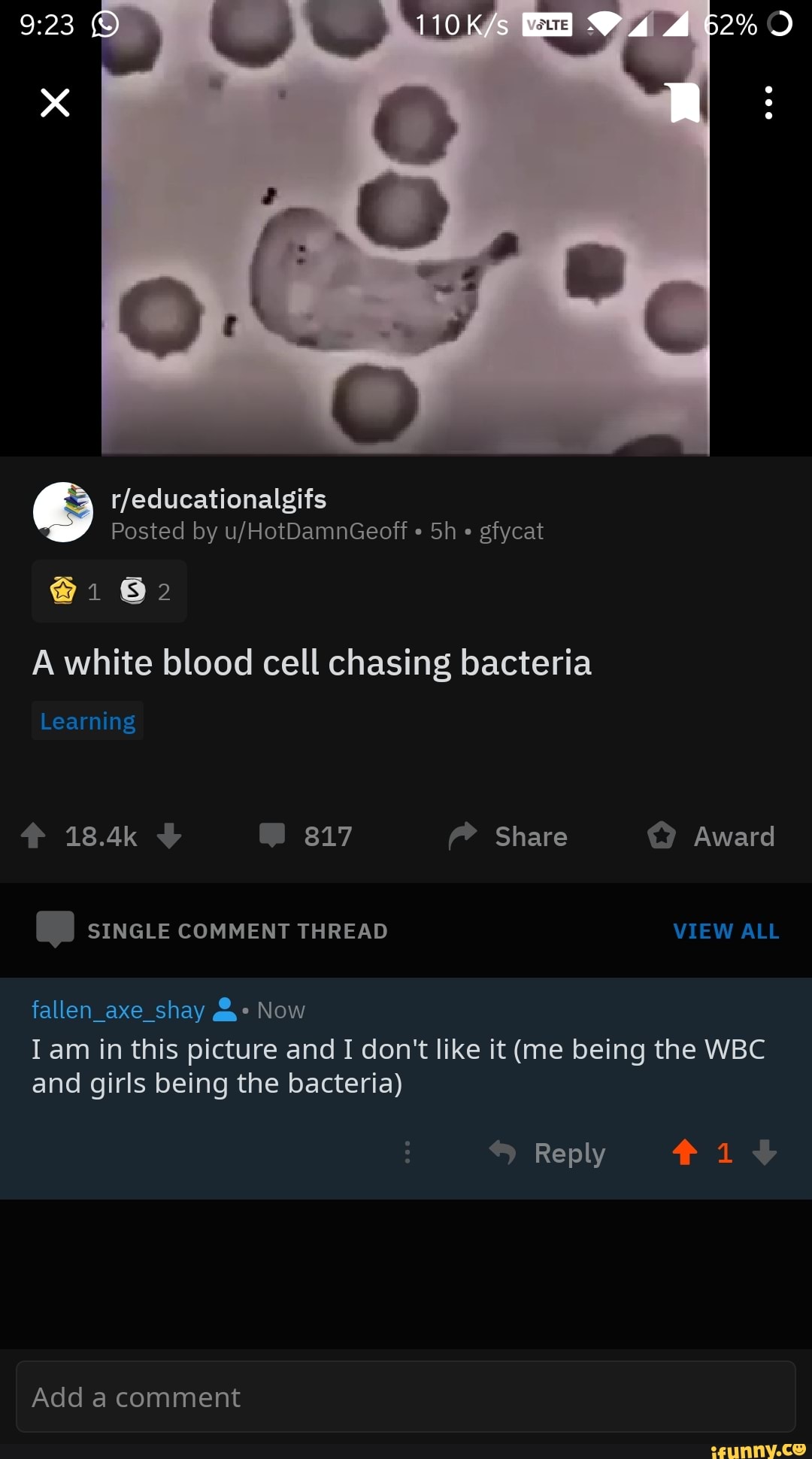 A White Blood Cell Chasing Bacteria