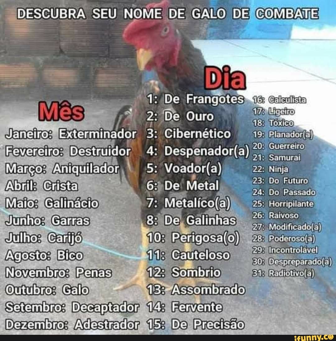 DESCUBRA SEU NOME DE GALO DE COMBATE
De frangcie:
Do ÔQuro
3: Cibernético
20
Ninja
Do Futuro
opadoria)
Destruidor,
Merco Amguilador 50 Voadoria;
4:
Crista De tiial
Medo: Galinácio Ifoiatioolno
Junho: Garras De Galinhas
Julhos Carjo 10 Peorigocaloj
Agosto Bico Cauteloso
Movembro. Penas Sombrio
Gutubro: Calo
Setembro: Decapiacdor
Mrador
Dozembro:
