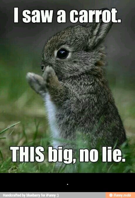 Isaw a carrot. - .