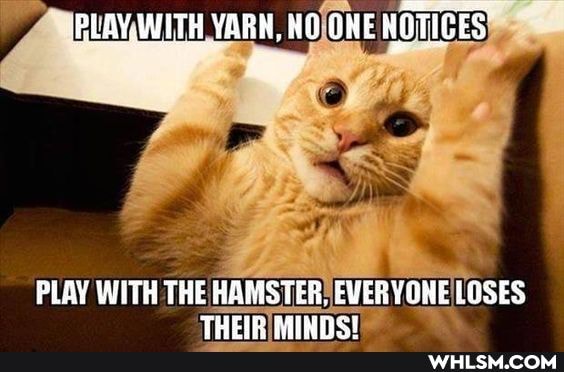 'BLAYWITH YABH, HO ONE HOTI
PLAY WITH THE HAMSTER, EVERYONE LOSES
TLCID
