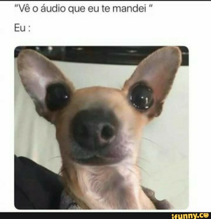 "Vê o áudio que eu te mandei
Eu: