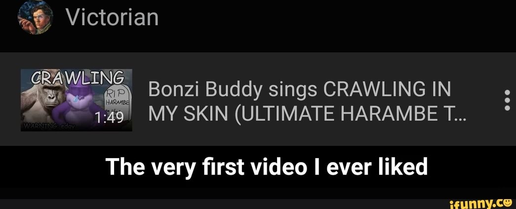bonzi buddy sings
