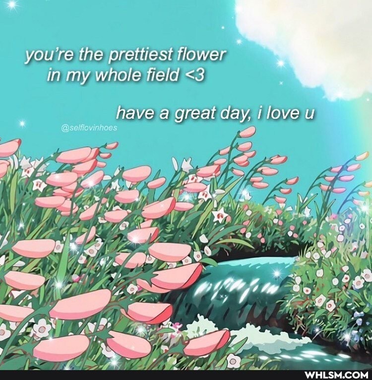 you re the prettiest flower in my whole field <3
have great day, I love u