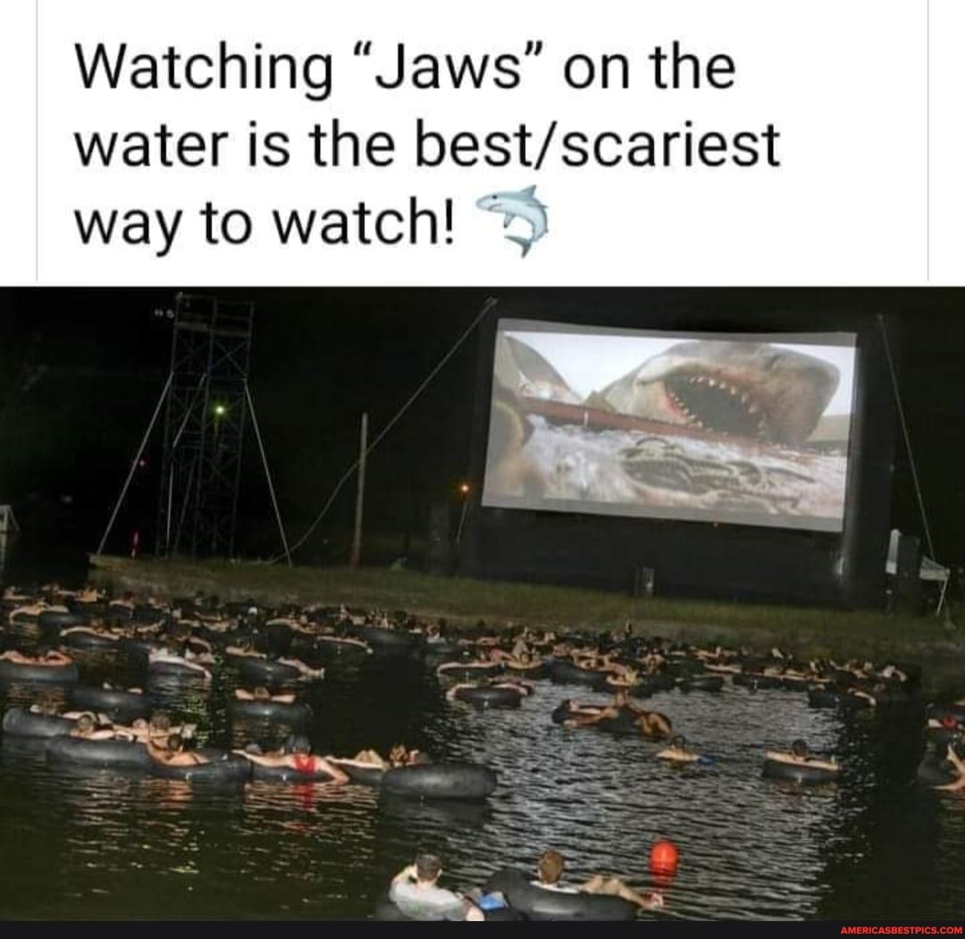 Watching "Jaws" on the water is the way to watch! America’s best pics