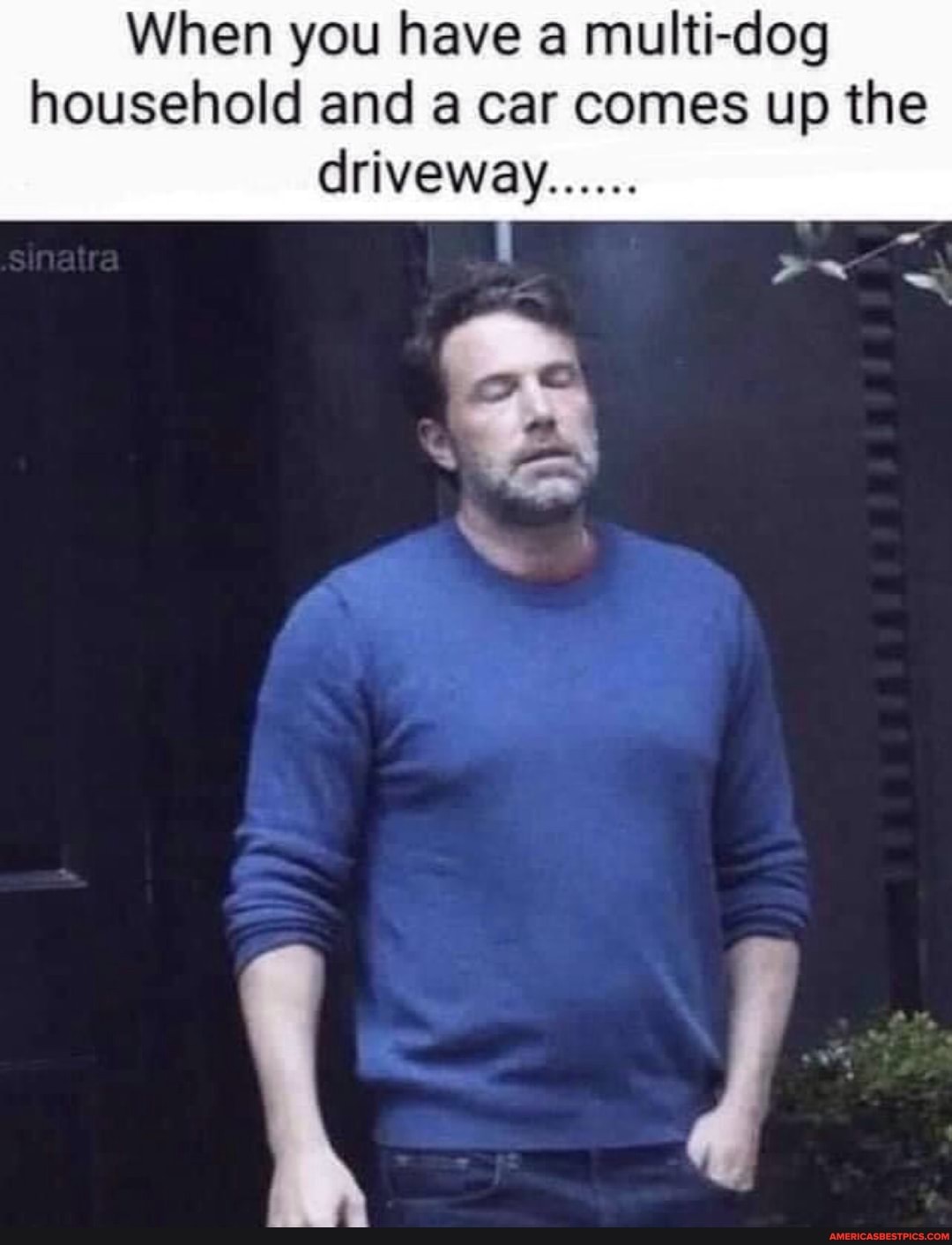When you have a multi-dog household and a car comes up the driveway