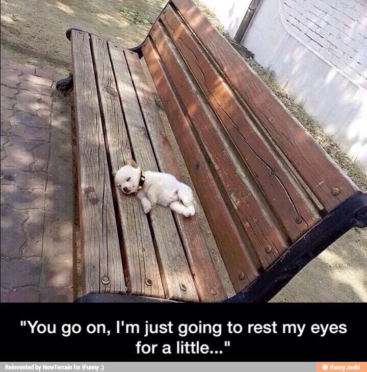 "You go on, I'm just going to rest my eyes