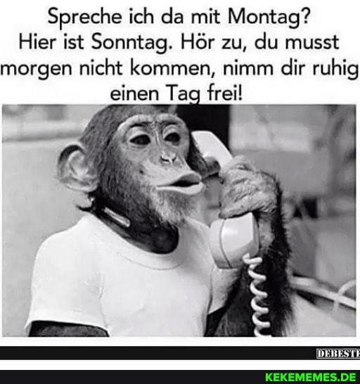 Spreche ich da mit Montag?
Hier ist Sonntag. Hör zu, du musst morgen nicht kommen, nimm dir ruhig einen Tag frei!