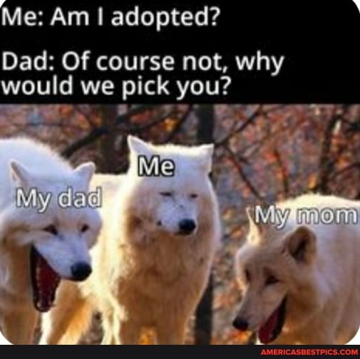 Me: Am I adopted?
Dad: Of course not, why would we pick you?