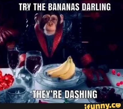 TRY THE BANANAS DARLING
THEY'RE DASHING