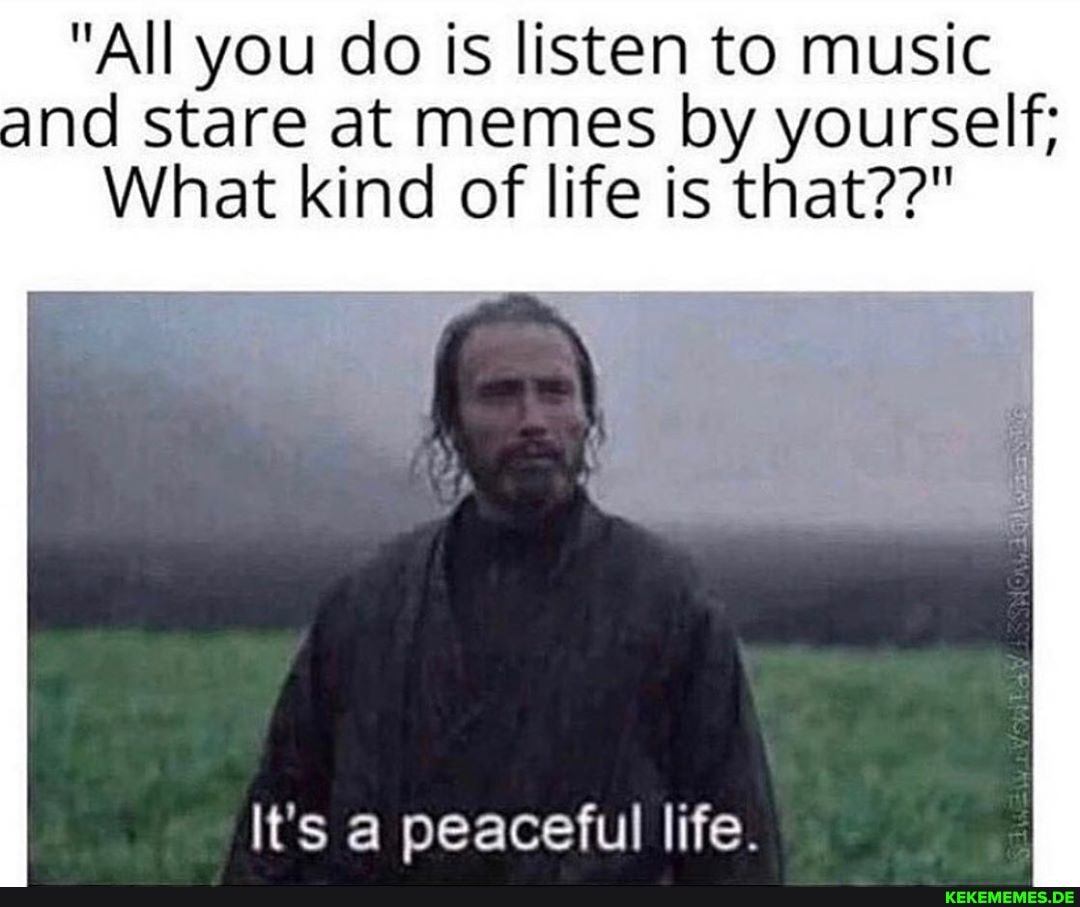 "All you do is listen to music and stare at memes by yourself;
What kind of life is that??"
It's a peaceful life.