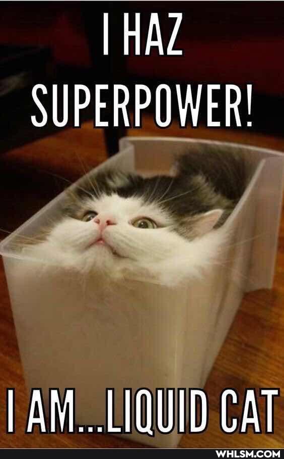 HAZ SUPERPOWER!
AM...LIQUID CAT