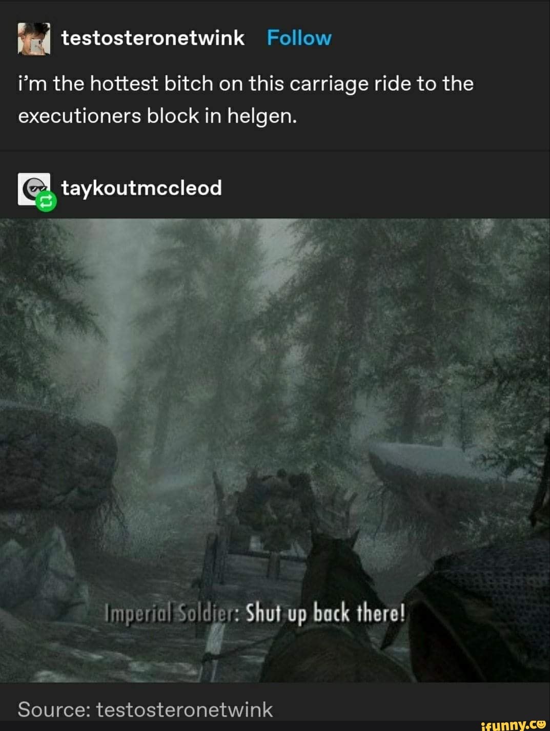 Wicd testosteronetwink Follow
i'm the hottest bitch on this carriage ride to the executioners block in helgen.
taykoutmccleod
Shut up back there!
Source: testosteronetwink
