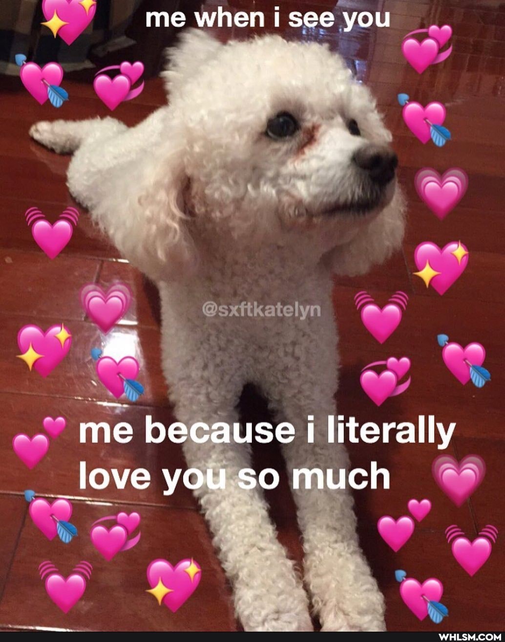 me when see you
xft
CO
me because I literally
_love you so much