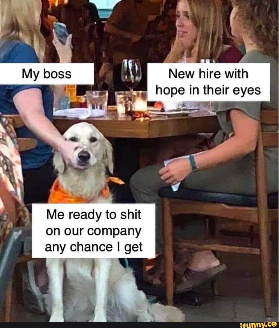 Me ready to shit
on our company
any chance I get